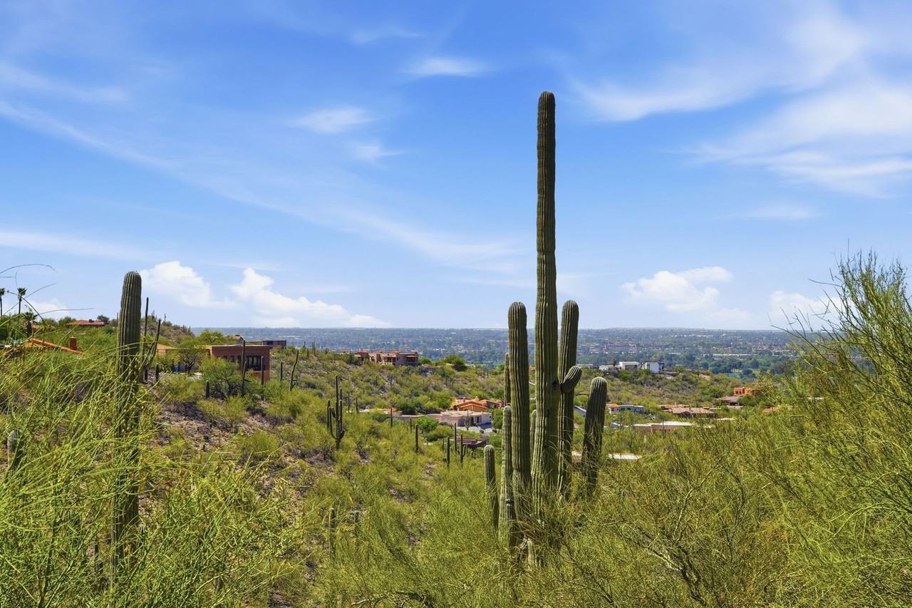 4380 N Camino De Carrillo - Photo 2 of 44
