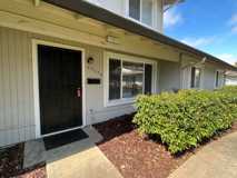 35179 Lido Blvd - Photo 1 of 1