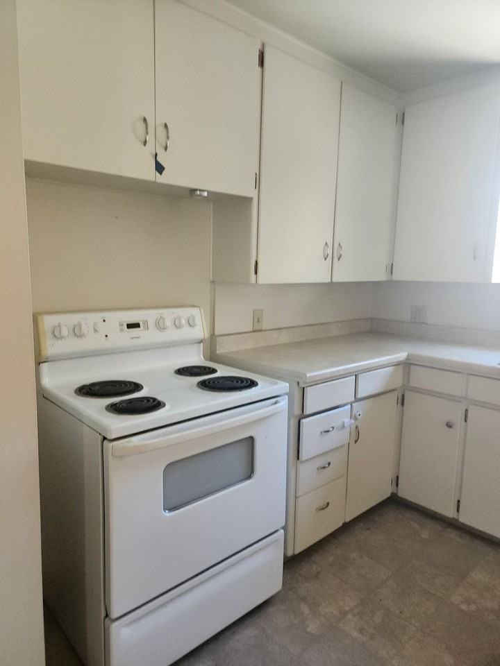 821 Burke Ave - Photo 7 of 15