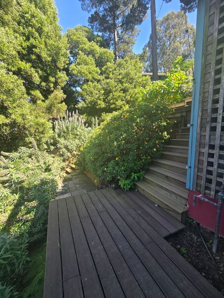 234 Buena Vista Ave #B - Photo 7 of 7