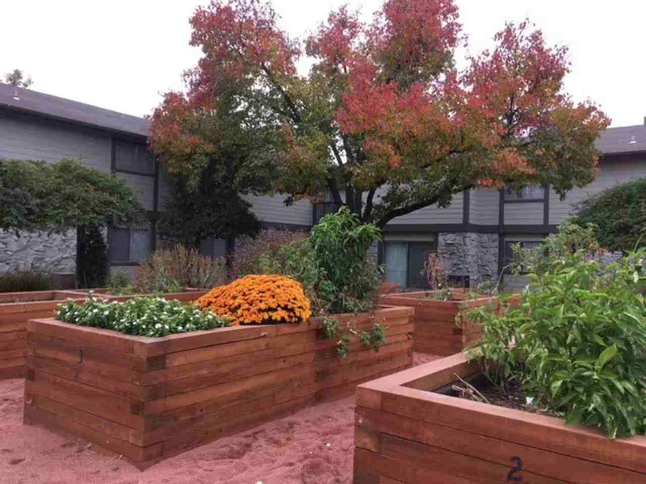 Lakewood Gardens - Photo 6 of 50
