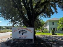 Live Oak - Photo 1 of 1