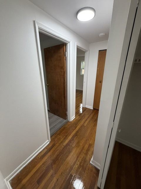1893 Holburn Ave #2 - Photo 2 of 8