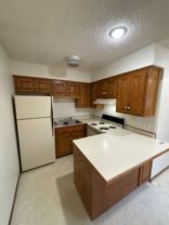Walnut - Photo 1 of 1