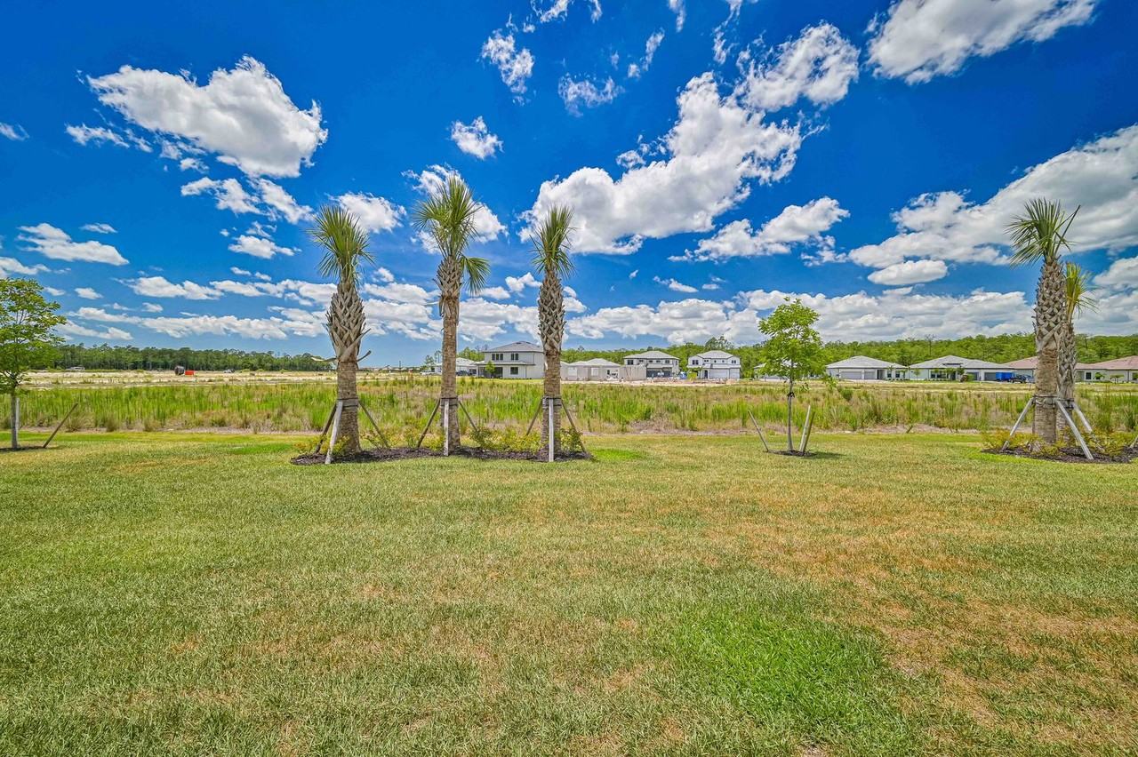 20492 Verawood Loop - Photo 3 of 37