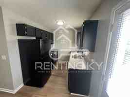 featured image of 113 Manna Dr