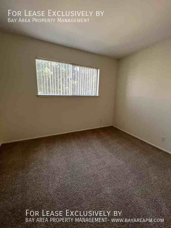 1235 Holly St #6 - Photo 6 of 9