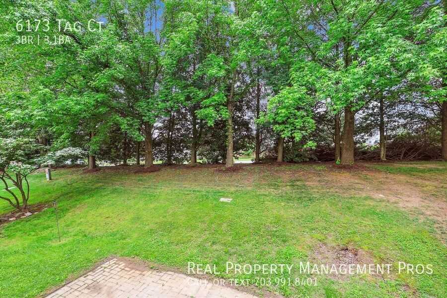 6173 Tag Ct - Photo 4 of 42