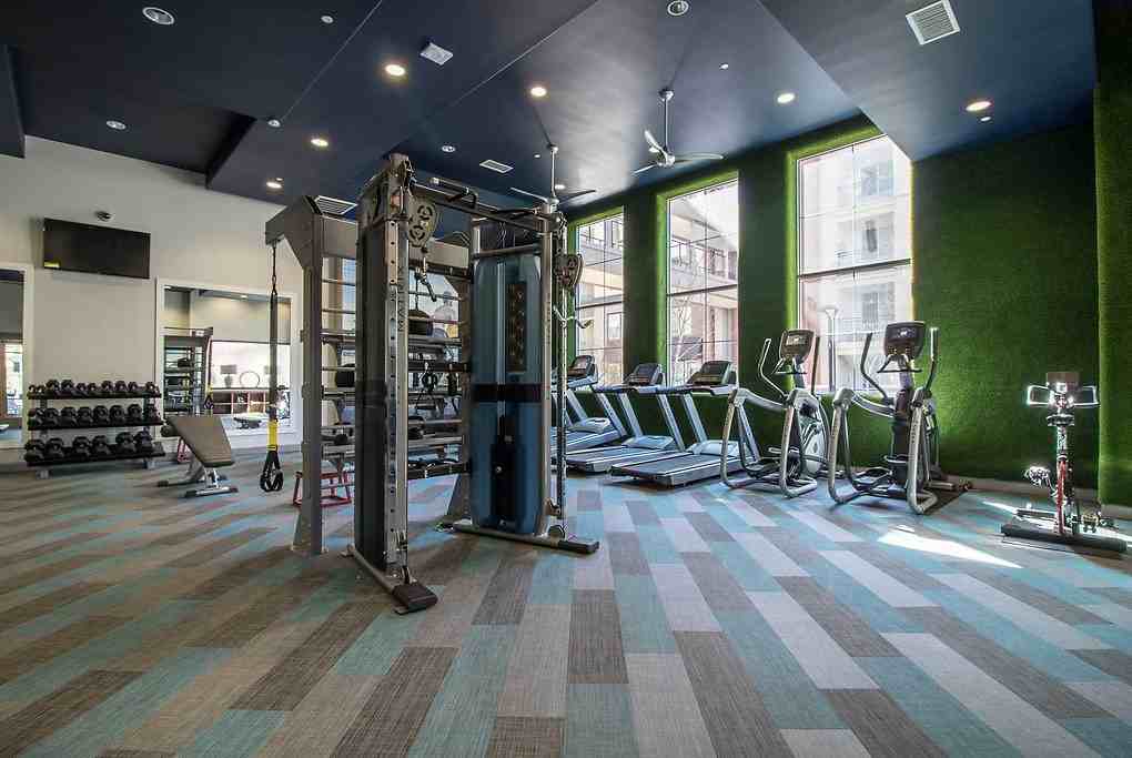 Paragon - Photo 6 of 50