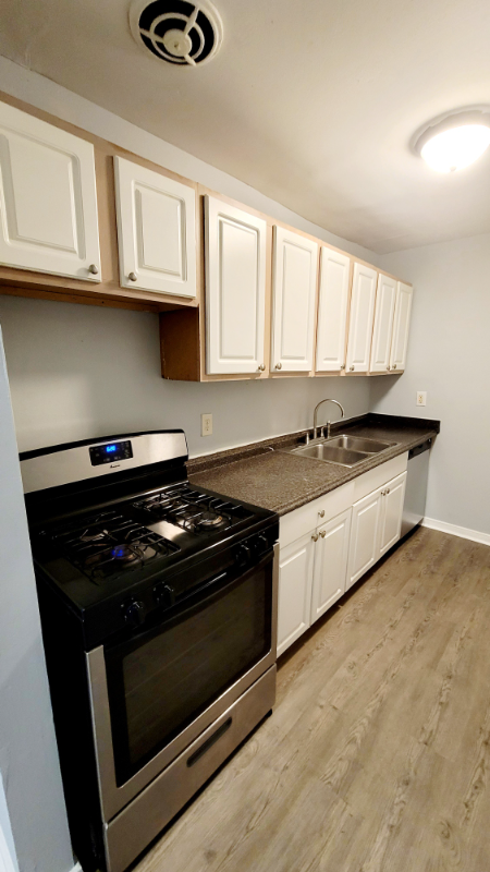 3810 Chamberlayne Ave #G - Photo 3 of 11