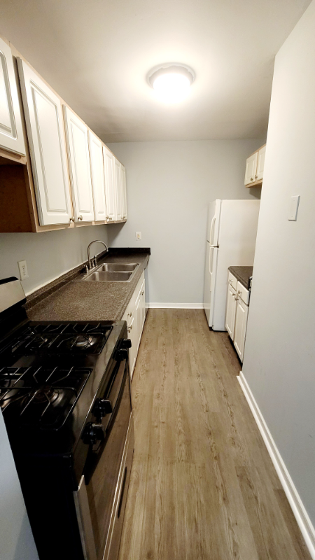 3810 Chamberlayne Ave #G - Photo 4 of 11