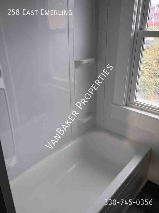 258 E Emerling Ave - Photo 3 of 9