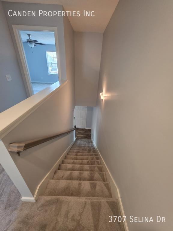 3707 Selina Dr - Photo 5 of 26