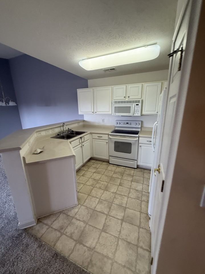 969 Mistflower Ln #969 - Photo 4 of 8