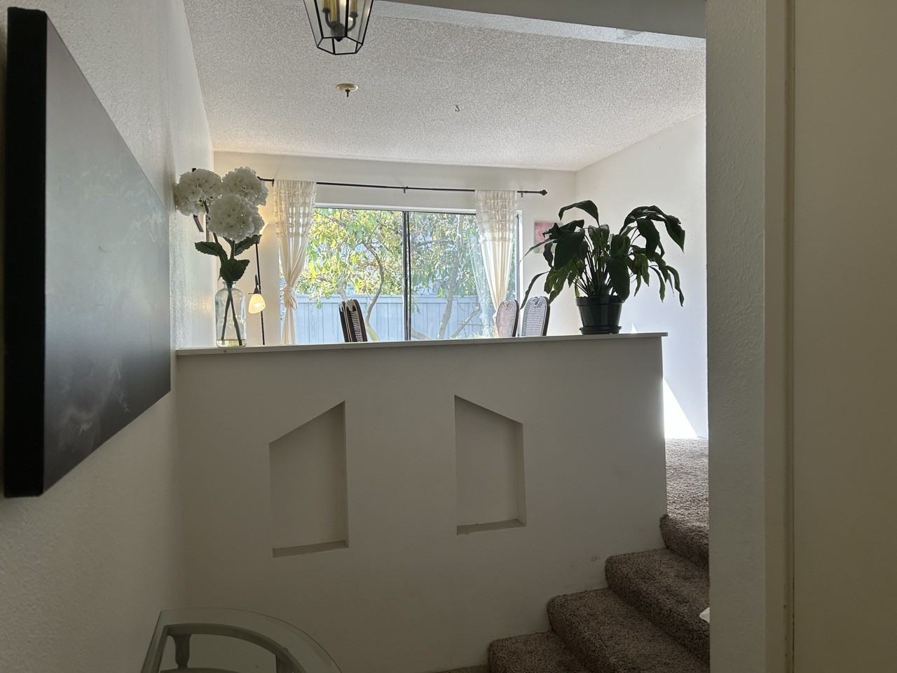 8184 Caminito Sonoma - Photo 3 of 15