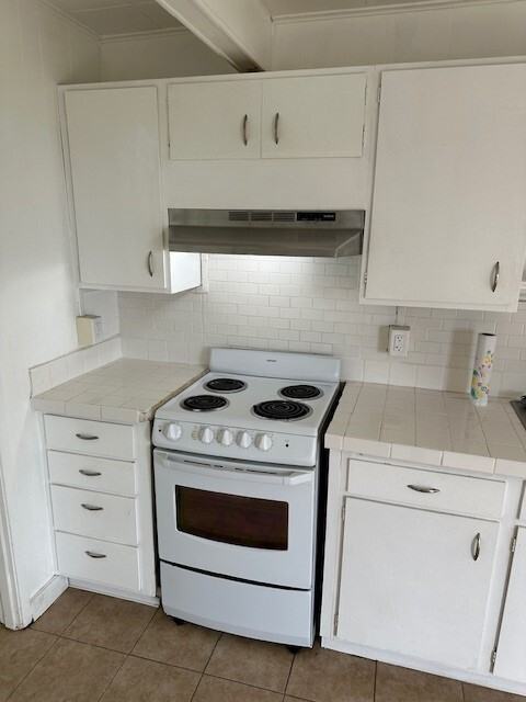 Point Brown Ave (679)(PMOS) - Photo 6 of 15