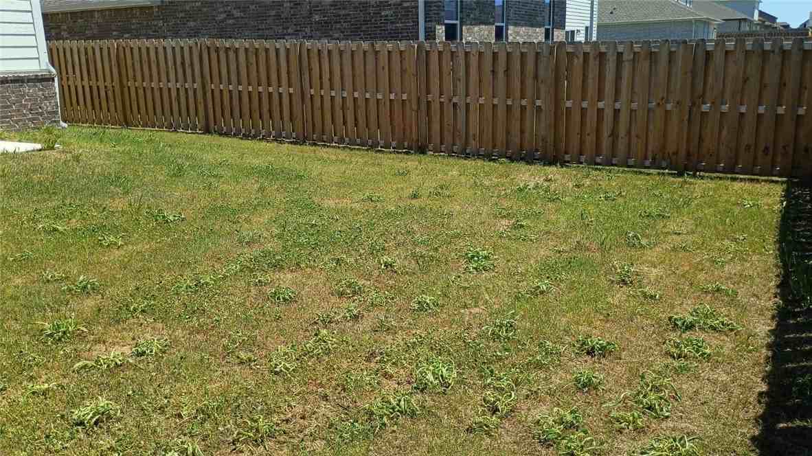 2141 Bluebonnet Ln - Photo 7 of 47