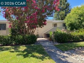 1865 Golden Rain Rd #3 - Photo 1 of 1