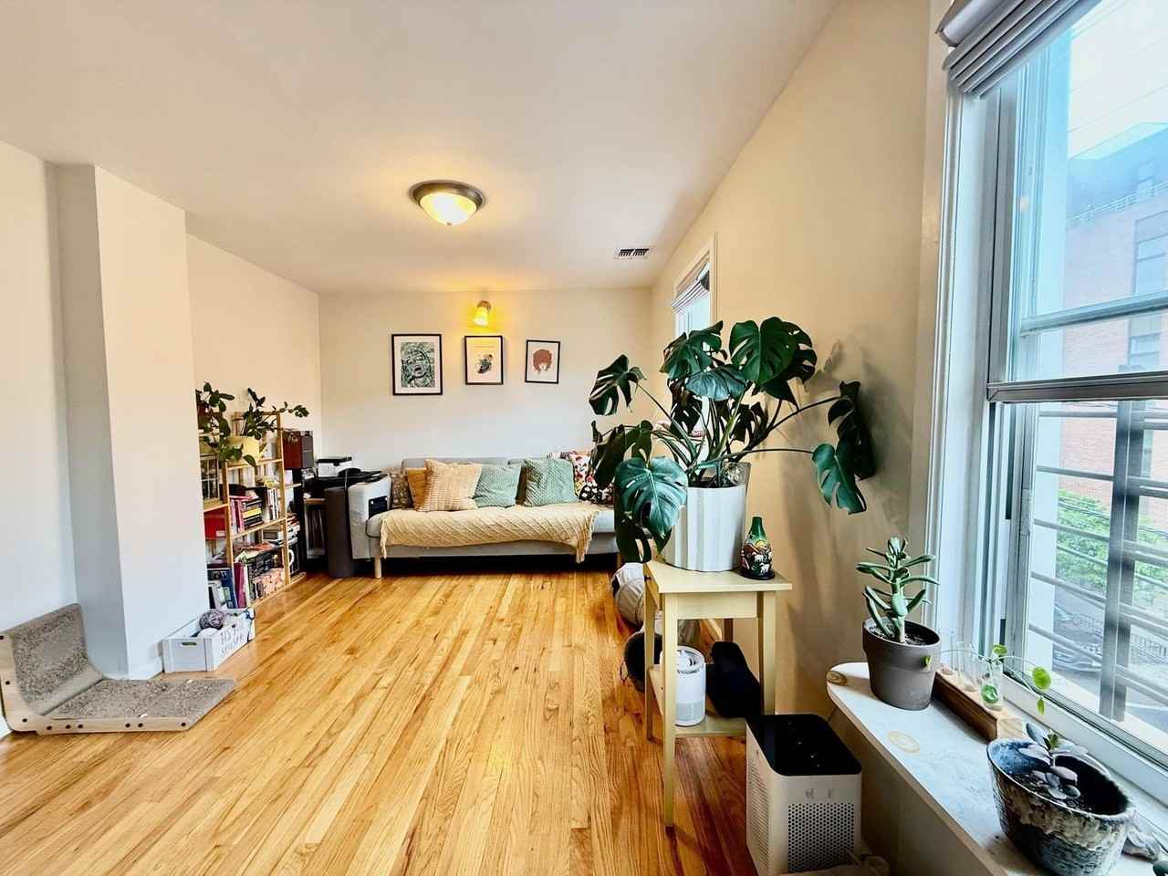 123 Brunswick St #2 - Photo 3 of 12
