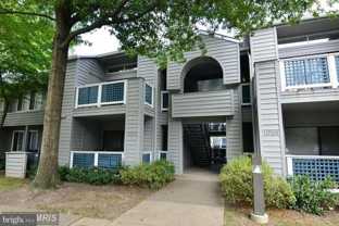 11703 Summerchase Cir Apt E #Apt E - Photo 1 of 1