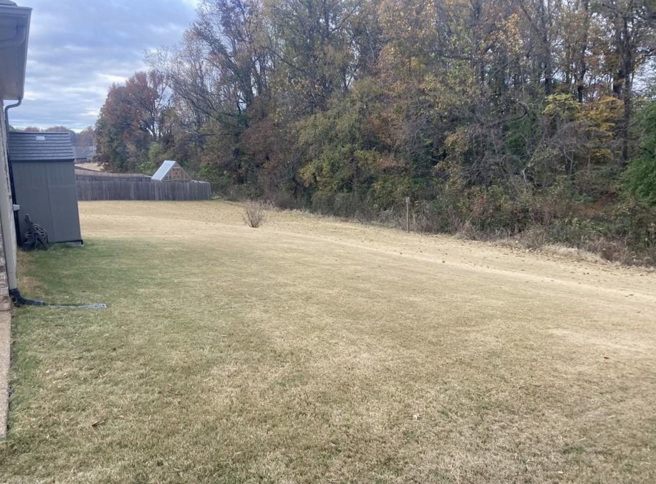 56 S Meadows Cv - Photo 2 of 11