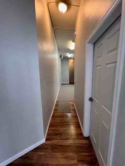 217 Masonic Avenue, Unit 4 - Photo 7 of 17