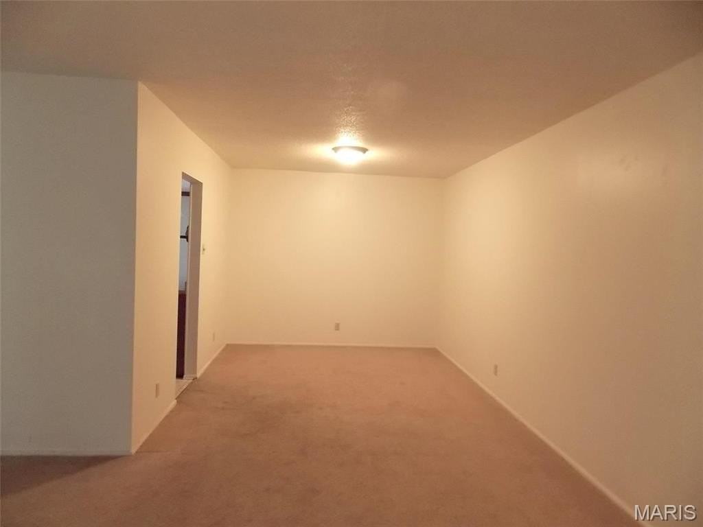 1007 Belleville St - Photo 4 of 14