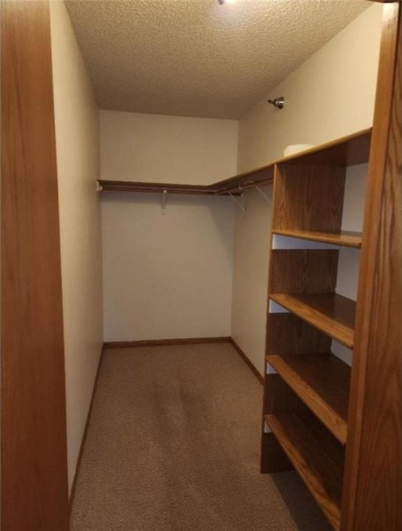 150 Coleman Ave E #207 - Photo 4 of 12