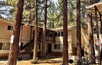 South Lake Tahoe Apts- (Larch) - Photo 1 of 1