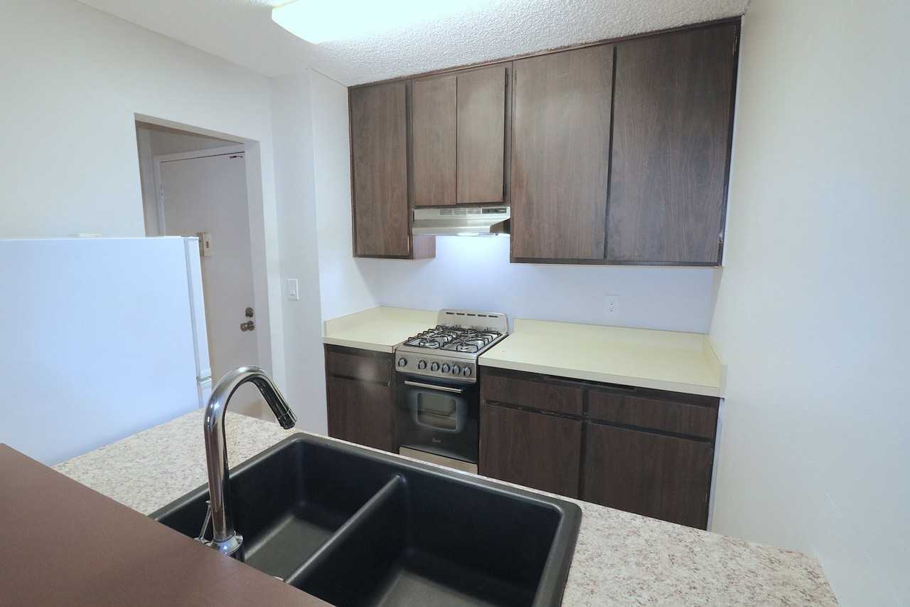 1621 Hotel Cir S #E329 - Photo 4 of 27