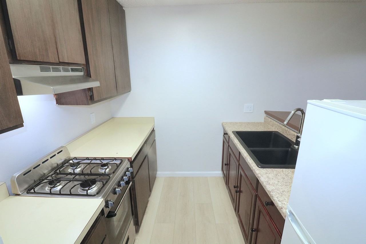 1621 Hotel Cir S #E329 - Photo 5 of 27