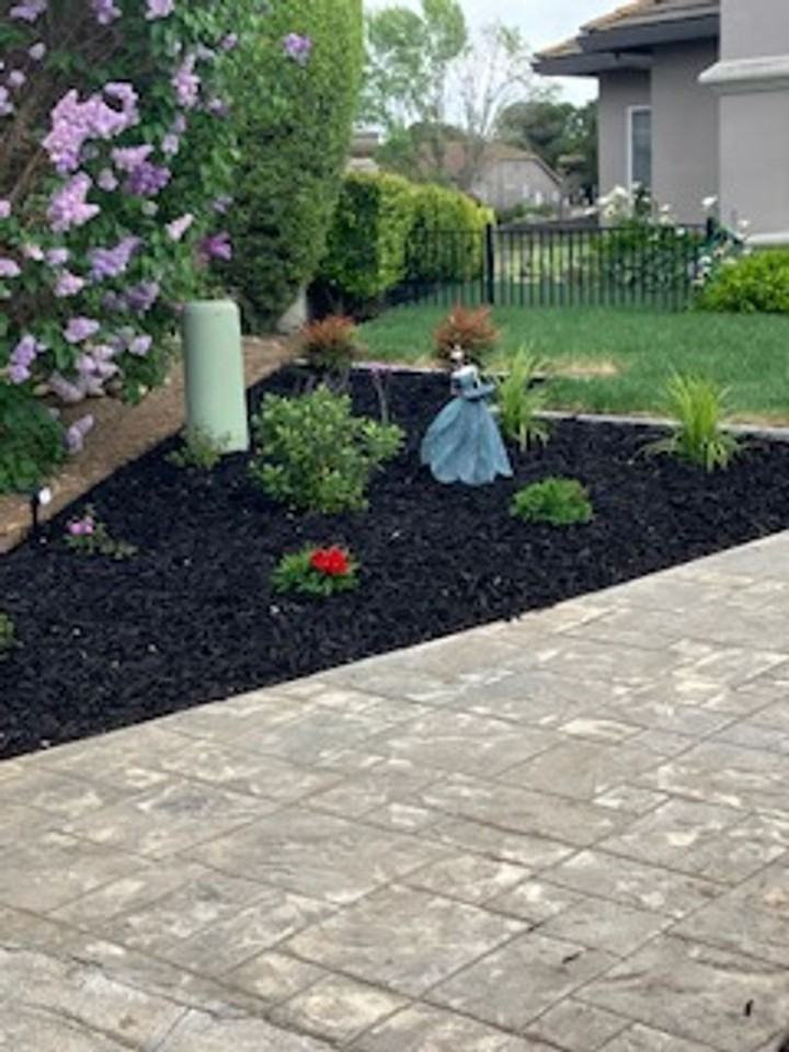 81 Ken Ct - Photo 5 of 13