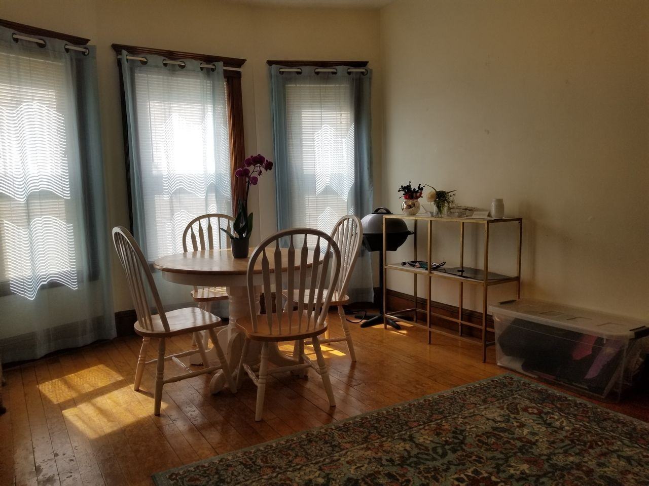 14 Warner St #1 - Photo 5 of 15