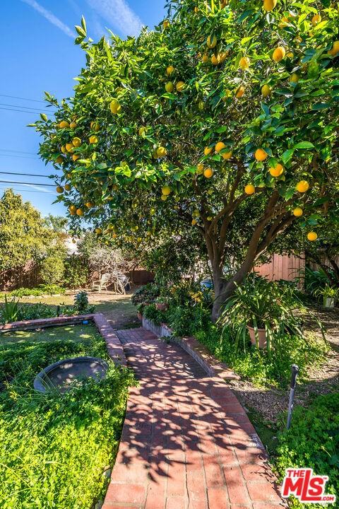 4818 Placidia Ave - Photo 7 of 10