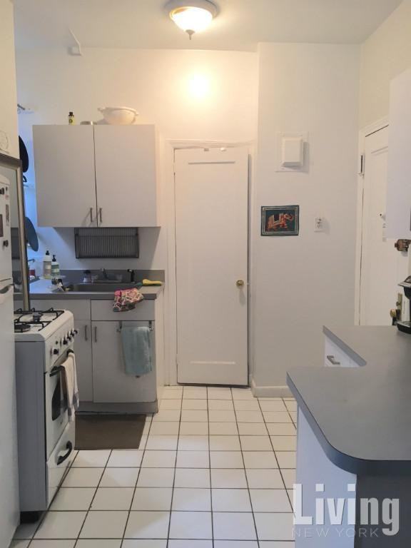 248 E 90th St #3A - Photo 6 of 10