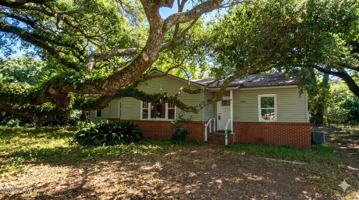 featured image of 1505 Palmetto Dr