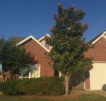 2302 Desiree St - Photo 1 of 1