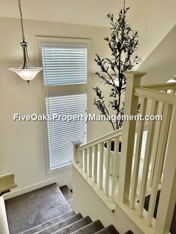 1208 Lavande Dr - Photo 7 of 30