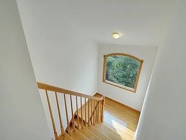 5 Roosevelt Ave #B - Photo 7 of 43