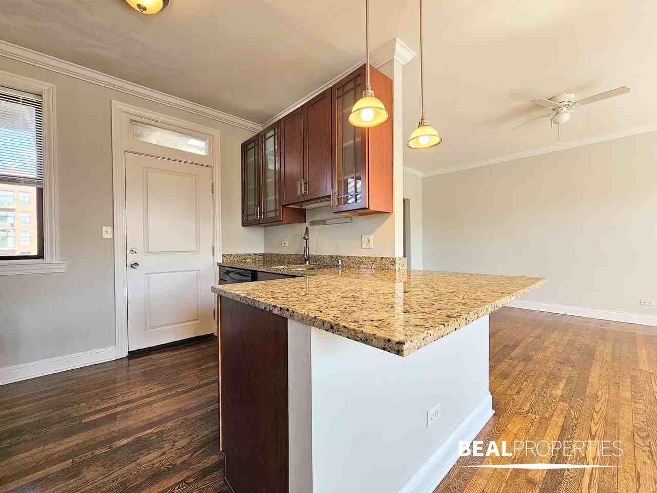 748 W Addison St #750S3 - Photo 4 of 14