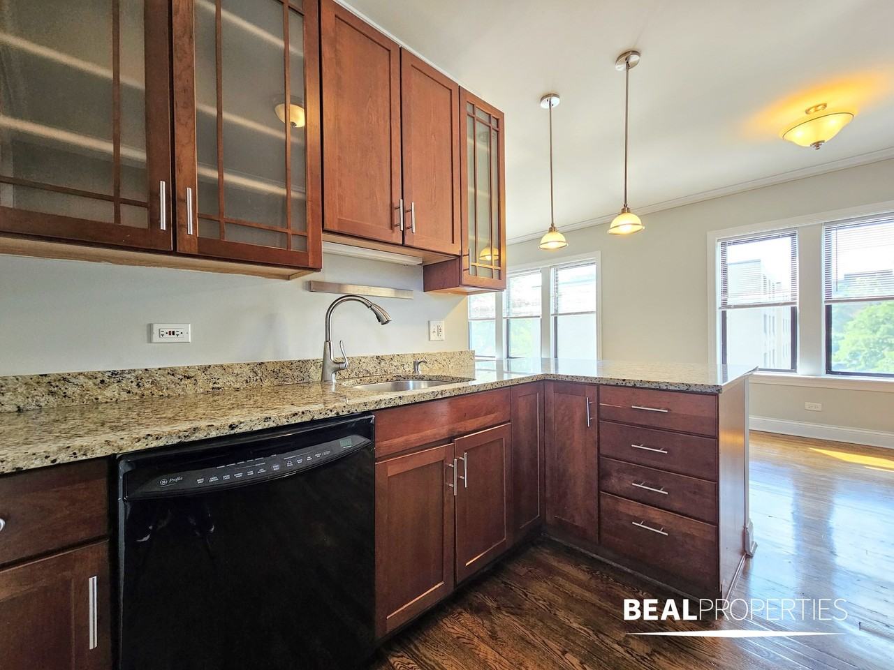 748 W Addison St #750S3 - Photo 5 of 14