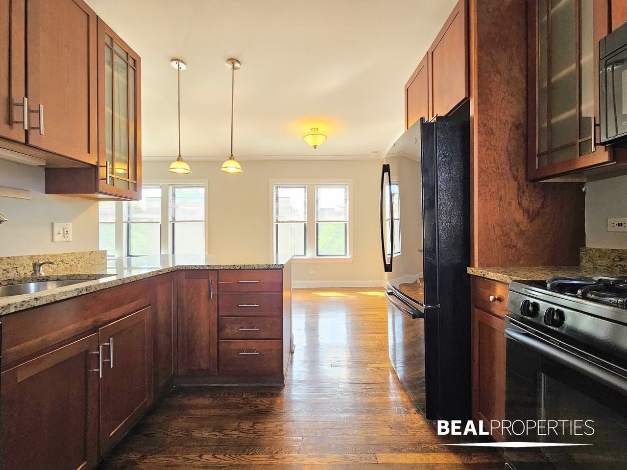 748 W Addison St #750S3 - Photo 6 of 14