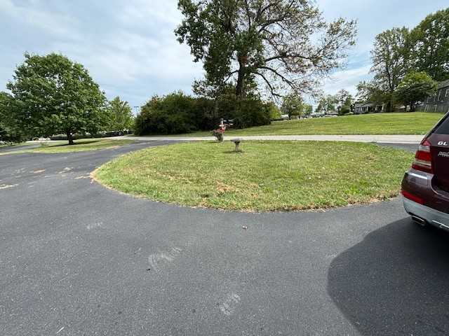 101 Sable Ave #A - Photo 3 of 16