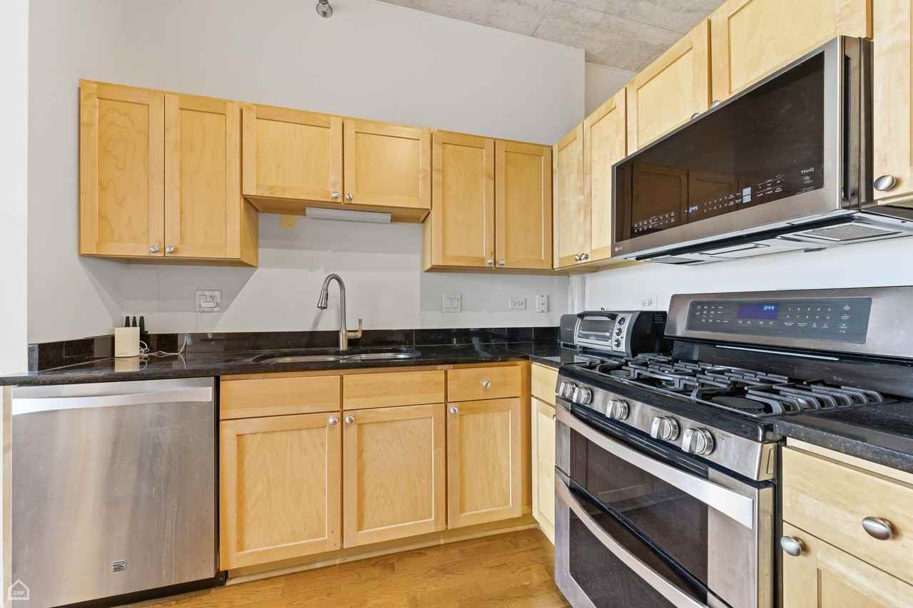 700 N Larrabee St #1013 - Photo 5 of 11