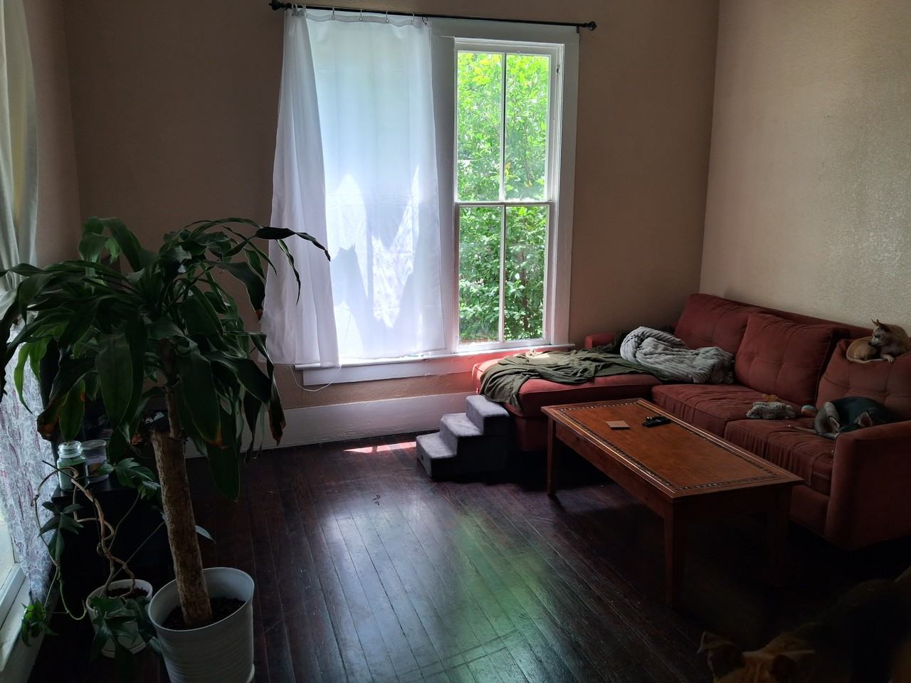 704 S Anglin St #NA - Photo 5 of 26