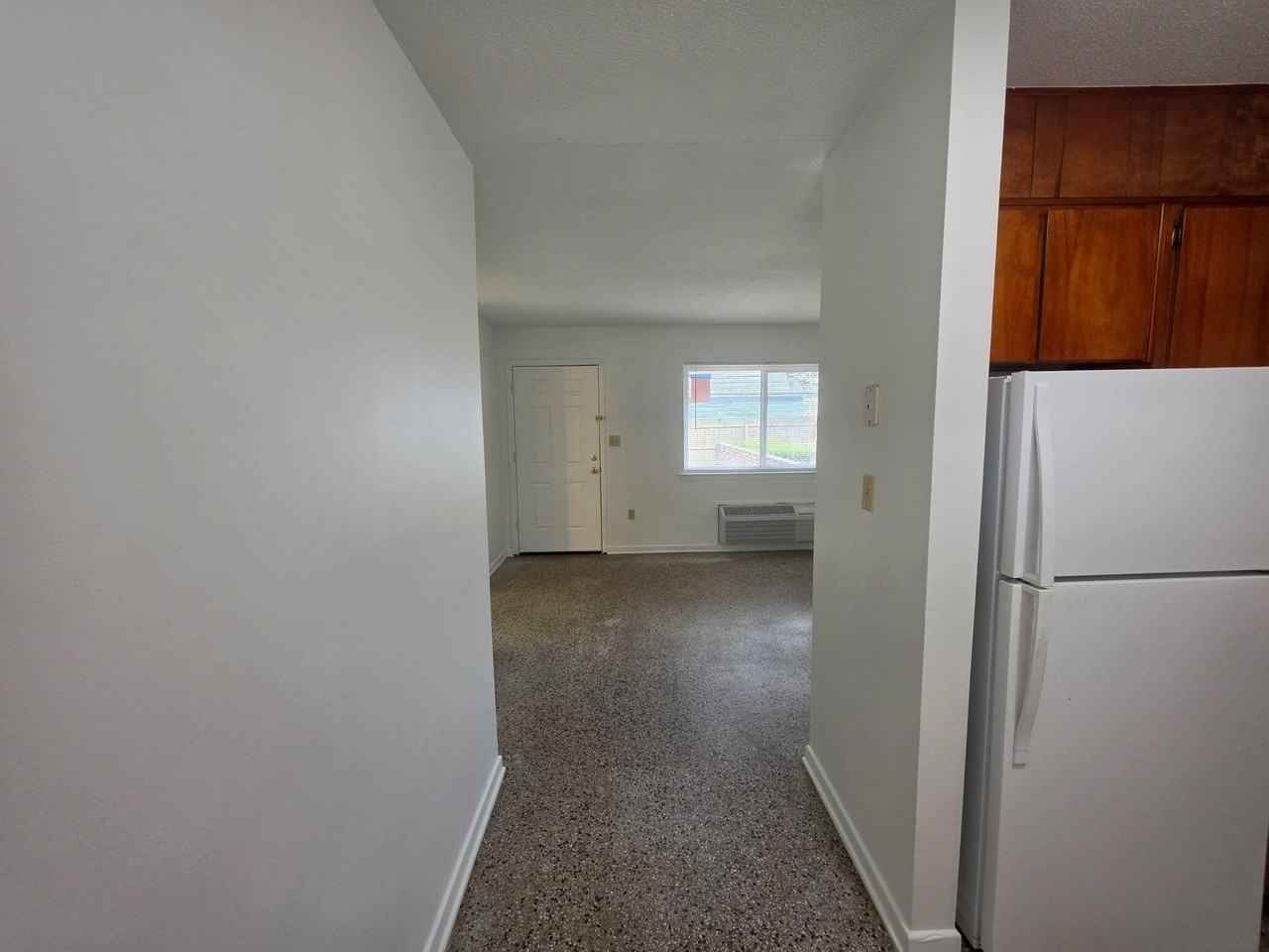 111 Chicago Ave Se #1 - Photo 5 of 14