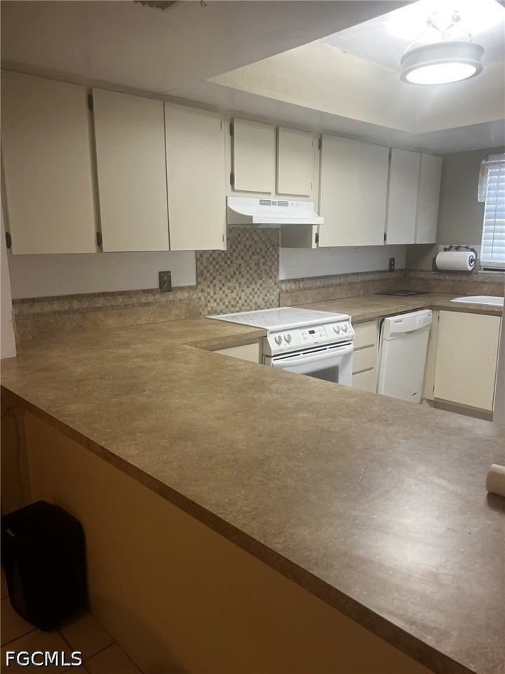 1754 Cape Coral Pkwy E #107 - Photo 5 of 15