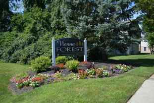 Vienna Forest Apartments & Townhomes - Photo 1 of 1