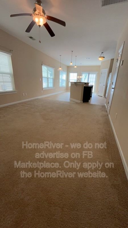 110 Saluda Springs Ct - Photo 6 of 9
