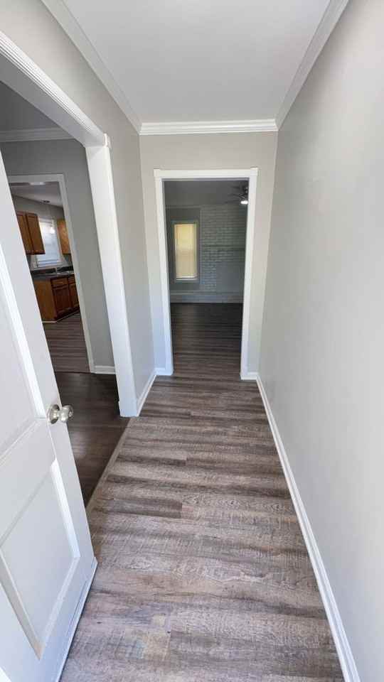 1732 Colebrook Ave - Photo 3 of 15